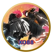 XO88